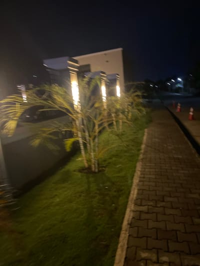 At night, the scene depicts a paved walkway with an adjacent grassy area. A palm tree with illuminated lights is planted in the grass. A building is partially visible behind the tree. The location is likely Rubuchi, Nigeria. No people are visible.