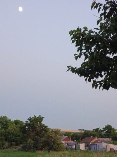 The image depicts a rural landscape at dusk, likely in Marynivka, Ukraine. A pale moon is visible in the upper left quadrant of the sky, which is a hazy, light blue. In the foreground, there is a grassy field. Behind the field, a small cluster of houses with various roof colors, including red and brown, are visible. Trees with dark green foliage are scattered throughout the scene, with a large tree branch in the upper right corner partially obscuring the sky. In the background, a light-colored field, possibly a crop field, extends towards the horizon. The overall atmosphere is serene and quiet, typical of a rural evening.