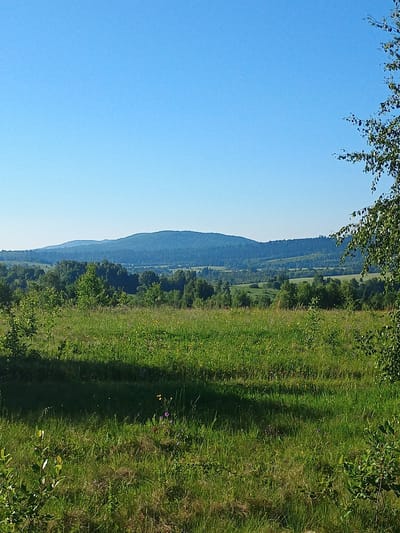 The image shows a bright, clear blue sky over a rolling landscape in Verkhnia Yablunka, Ukraine. In the foreground, a vibrant green grassy field is bathed in sunlight, with a prominent shadow cast across the lower left portion of the frame, indicating the presence of an unseen object or trees. Scattered wildflowers and foliage dot the meadow. In the middle ground, a dense forest of trees stretches across the undulating terrain, with lighter green patches suggesting open fields or clearings. Beyond the forest, a series of hazy blue hills form the background, disappearing into the distance under the vast expanse of the sky. A branch of a leafy tree with pale bark is visible on the far right, partially obscuring the view. The overall scene is one of a serene, natural environment under a cloudless sky.