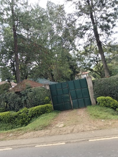 A forensic description of the scene in Nyansiongo ward, Kenya, reveals a residential or private property entrance from a paved road. The foreground consists of a grey asphalt road with a faded white broken line marking its edge. A dirt and gravel driveway, sloping slightly upwards, leads from the road to a dark green, dual-panel metal gate. Each gate panel is segmented into multiple rectangular sections. The gate is supported by light grey concrete pillars and is flanked on both sides by dense, well-maintained green hedges forming a boundary wall. Beyond the hedges and gate, various structures are partially visible through a dense canopy of trees. To the immediate left of the gate, a roof structure with a combination of dark brown, possibly thatched or corrugated, and green corrugated iron is present. Further into the background, a white building with a distinct orange-red tiled roof is discernable amidst the foliage. The sky overhead is bright and overcast. No individuals, animals, or observable actions are present within the frame.