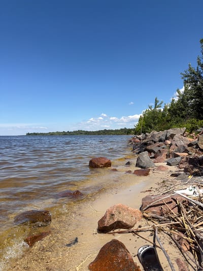 The image depicts a rocky shoreline along a body of water, likely a lake or a wide river, with a distant treeline on the horizon. The sky is a clear, bright blue with a few scattered white clouds. The water is calm with gentle ripples, and the shoreline is composed of sand and various sizes of rocks, some of which are submerged in the water. There is also some driftwood and debris scattered on the sand. In the foreground, on the sand, there is a black sandal with white lettering on its strap. The overall scene suggests a natural, outdoor environment, possibly a recreational area. The provided location, Lebedivka, Ukraine, implies this scene is situated near the Kyiv Reservoir, which is a large man-made lake on the Dnieper River, bordering the village.