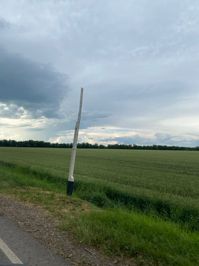 An outdoor, eye-level, medium shot captures a tall, white, angled post standing beside a green field. The post, with a dark base, is positioned to the right of the frame, leaning slightly to the left. Its surface shows wear and tear, with a visible split near the top.

The field itself is a vibrant green, stretching horizontally across the midground of the image and appearing to be a crop of wheat or similar grain. A line of dark green trees forms a dense border at the horizon. The sky above is overcast, with a mix of heavy grey clouds and lighter, scattered white clouds. A faint suggestion of rain or mist can be seen in the far distance, within the darker cloud formations.

In the foreground, on the left side, a section of an asphalt road is visible, with a white line marking its edge. The ground beside the road is covered in dry grass, twigs, and soil. The overall scene suggests a rural or agricultural setting, potentially on the outskirts of Krylovskaya, Russia. There are no people or animals present in the image.