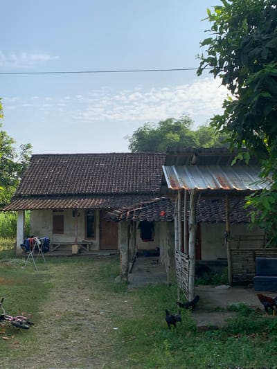 The image depicts a rural scene in Tanjungsepreh, Indonesia, dominated by two attached, weathered houses. The left house has a tiled roof, a light-colored wall, and a wooden bench outside. A clothes drying rack with laundry is visible. The right structure is a more open, partially covered area with a corrugated metal roof, supported by bamboo poles, and a woven bamboo wall. Several chickens are present in the yard, with one to the right of the attached structures. In the foreground, a pink bicycle lies on its side in the grass. The environment is a mix of green grass, dry patches, and trees surrounding the dwellings under a bright, partly cloudy sky. A power line stretches across the upper portion of the image.