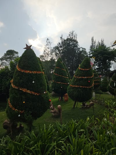 The image captures an outdoor scene in Megamendung, Indonesia, showcasing three cone-shaped bushes decorated as Christmas trees. The bushes are arranged in a row on a grassy lawn, each adorned with orange tinsel, ornaments, and topped with decorative objects. The frontmost bush features a star, the middle bush has a brown toy, and the rearmost has a white and pink cow figurine. At the base of each bush, there are brown squirrel statues. The background consists of trees, vegetation, and a sky with clouds.
