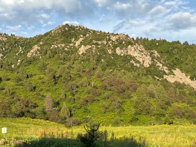 The image depicts a mountainous landscape in Yaryktash, Kyrgyzstan. The foreground features a field of green grass with scattered yellow wildflowers and some reddish-brown vegetation. A small, dark green evergreen tree stands in the center of the field. To the left, a white signpost is partially visible. In the midground and background, a steep, green mountain rises, covered in dense vegetation and interspersed with rocky outcrops. A variety of trees, including evergreens and deciduous trees with brown foliage, are scattered across the mountainside. The sky above is partly cloudy, with a mix of white and gray clouds against a blue backdrop. The overall scene is natural and undeveloped, suggesting a rural or wilderness setting.