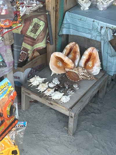 This is a medium shot of a market stall in Bira, Indonesia. In the foreground, on a wooden table, are a variety of seashells, including large conch shells and smaller, patterned shells. Behind the seashells, to the left, is a cardboard box with Indonesian text. Above the box, draped fabric with a patterned design is visible. To the right of the seashells, a light blue tablecloth with a geometric pattern covers a surface. In the far left of the image, part of a toy, possibly a construction vehicle, is visible, wrapped in plastic. The ground appears to be dirt or sand. The scene suggests a display of items for sale in an outdoor market.