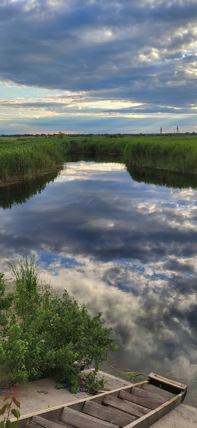 The image depicts a serene, natural landscape with a body of water mirroring the sky. The scene is dominated by the reflections of clouds on the water's surface, creating a dramatic contrast between dark and light gray, with hints of blue sky peeking through. Along the water's edge, dense green reeds or tall grass grow, forming a verdant border.
On the right side of the image, a wooden structure, possibly part of a dock or pier, is visible. It's made of weathered wooden planks and is positioned on a concrete bank. A lush green bush with dense foliage grows near this structure. The overall impression is one of natural beauty and tranquility.
The time of day appears to be late afternoon or early evening, suggested by the soft lighting and the mixture of light and dark clouds, which could indicate an approaching storm or the end of a sunny day. The weather seems to be partly cloudy, with dramatic cloud formations dominating the sky.
There is no visible text in the image. The location context of Hetmanivka, Ukraine, suggests a rural or semi-rural setting, consistent with the presence of water, reeds, and a natural landscape. The scene evokes a sense of peace and immersion in nature.