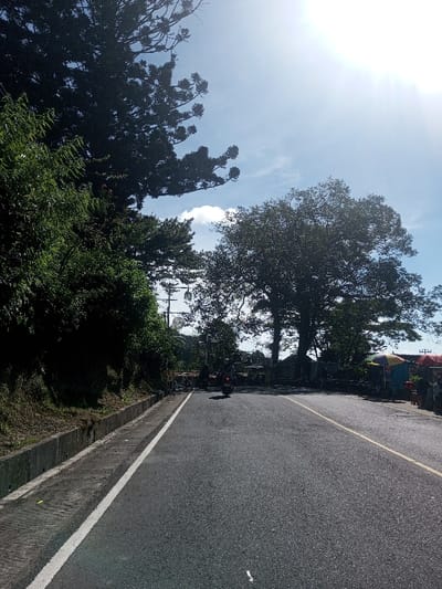 The image displays an asphalt road in Ka Thaung (Upper), Myanmar, under clear skies with bright sunlight originating from the upper right. The road features a solid white line on its left edge, bordering a concrete gutter and a steep, densely vegetated embankment. A large, dark evergreen tree occupies the upper left quadrant. In the mid-ground, a dark-colored motorcycle with a single rider wearing a helmet travels away from the viewer. To the right of the road, a substantial deciduous tree stands, beyond which a roadside area contains multiple colorful vendor stalls marked by a light blue and a red/yellow/blue striped umbrella, with associated market goods and seating visible. Utility poles with wires and satellite dishes are present in the background above the right-side vegetation. The road also displays a solid yellow line delineating a lane.