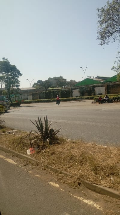 A street scene shows a person crossing a road with a median containing a small plant. Two people are seated on the curb across the street. The backdrop features a green roofed building, trees, and a tall wall covered with greenery. A vehicle is visible on the left. Dry grass and a curb with painted white line are in the foreground. The sky is pale blue and mostly clear.