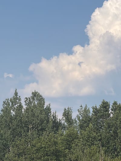 The image shows a close-up view of a tree canopy against a blue sky with scattered clouds. The leaves of the tree are a vibrant green, suggesting it is a warm season. The sky is a clear blue with fluffy white clouds that are partially obscuring the sky in the upper left portion of the image. The image is taken from a low angle, looking upwards towards the sky and the top of the tree. The composition is split diagonally, with the sky occupying the left half and the tree canopy the right half. There are no people or objects visible in the image. The overall mood is peaceful and natural, evoking a sense of a clear day in a rural or park-like setting. The time of day appears to be daytime, likely mid-morning or afternoon, given the brightness of the sky and the clear visibility of the clouds. There is no visible text in the image.