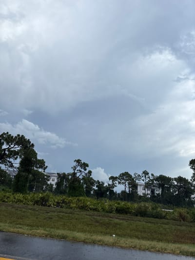 The image depicts a cloudy, overcast sky with visible layers of gray and white clouds. Below the sky, a line of dense green vegetation, including palm-like plants and tall trees, forms a barrier. Behind the vegetation, several white, multi-story buildings with visible windows are situated on a slight incline. In the foreground, a wet asphalt road is visible, suggesting recent or ongoing rain, with a yellow line marking the edge. The overall impression is a coastal or suburban landscape under a moody sky. There are no people visible in the image. The scene does not appear to be in Sarasota, Florida, based on the architecture and vegetation, which are more typical of a temperate or subtropical coastal region, but not specifically Sarasota.