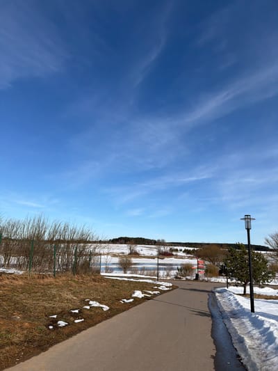 This image captures an outdoor landscape scene in Bezborodovo, Russia, characterized by transitional weather conditions. The upper half of the frame is dominated by a clear, bright blue sky with faint, wispy cirrus clouds. In the foreground, a dark asphalt paved pathway curves from the lower-left towards the mid-right. To the immediate left of the path, patches of melting snow are interspersed with brown, dry grass and exposed soil. A low green metal fence runs parallel to this section, bordering a dense cluster of bare, brown deciduous bushes or shrubs.
Further along the path, which continues into the midground, the landscape opens to reveal a partially thawed body of water, likely a pond or lake, still retaining significant areas of ice and snow on its surface. Beyond the water, fields are visible, also exhibiting a mix of snow cover and exposed ground. A distinct treeline, composed of both bare deciduous trees and dark green coniferous trees, forms the distant horizon.
On the right side of the path, a modern, dark-colored lamppost with a rectangular, slatted lantern head stands upright. Adjacent to the path on the right, a bank of snow remains. A small evergreen tree is positioned behind the lamppost. In the mid-distance, near the water's edge and before the distant treeline, a vertical pole-like structure with red and green rectangular panels is partially visible. No people are present in the scene, and no actions or interactions are depicted. The environment suggests late winter or early spring conditions with melting snow and emerging vegetation under clear daylight.