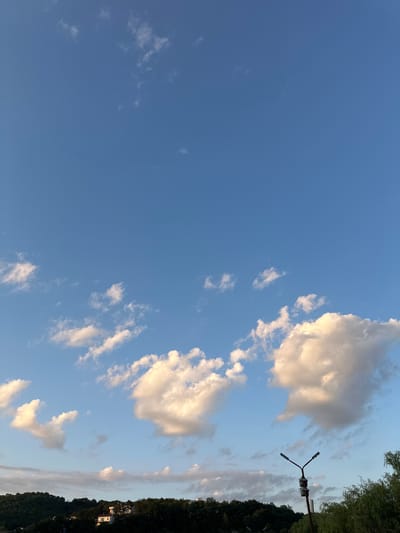 The image depicts a vertical view of a clear blue sky with scattered white clouds. The clouds are wispy and some are illuminated by sunlight, suggesting it is daytime. The right side of the image shows a dark green tree line, indicating a natural setting, possibly a park or forest edge. A black streetlamp with two light fixtures is visible against the sky, positioned near the tree line. The lamp is mounted on a pole and has a modern, Y-shaped design. Below the trees, glimpses of buildings can be seen, suggesting the proximity of a settlement. The overall scene evokes a peaceful and serene atmosphere, typical of a late afternoon or early evening in a natural environment. There is no visible text in the image.