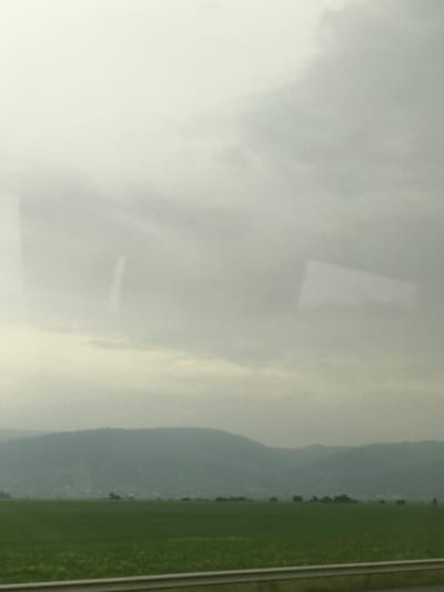 The image presents a rural landscape, likely captured from a moving vehicle, consistent with a scene near Ruși-Ciutea, Romania. The upper two-thirds of the frame are occupied by a heavily overcast, light grey sky, suggesting diffuse lighting conditions. Faint, elongated reflections, appearing as light rectangular shapes, are visible in the sky area, indicative of the photo being taken through a window. The distant horizon reveals a low, undulating mountain or hill range, rendered in muted shades of dark green and grey due to atmospheric haze. Below the distant hills, a vast, flat expanse of vibrant green agricultural fields stretches across the midground. A light-colored metal barrier or guardrail runs horizontally along the bottom of the frame, serving as the immediate foreground element. No specific structures, people, or direct actions are discernible within the visible landscape.