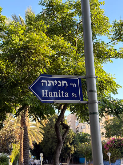 The image, rotated 90 degrees clockwise from its original orientation, depicts a street sign hanging from a horizontal gray pole. The sign is blue with white text and an arrow-like bottom, indicating "Hanita St." in both Hebrew ("חניתה") and English. Both text blocks are oriented vertically along the sign.
The background is dominated by lush green foliage from numerous trees, creating a dense canopy that partially obscures distant elements. Through the leaves, patches of clear, bright blue sky are visible, indicating a sunny day. In the upper background, multi-story buildings with visible windows can be seen, suggesting an urban or suburban environment. Further to the right and lower in the frame, several distinct palm trees with textured trunks and fronds are apparent.
The scene portrays a bright, clear day. No people or specific activities are depicted, focusing instead on the street sign and the surrounding natural and built environment. The presence of both Hebrew and English on the street sign, explicitly naming "Hanita St.", firmly places the location in an Israeli context, specifically Kfar Saba as per the provided information.