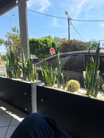 The image captures a bright, sunny day in Safi, Morocco, viewed from an indoor location looking outwards through a glass partition. In the foreground, a person's dark blue jeans are visible, indicating they are seated. The scene outside features a planter box filled with white pebbles and various plants, including snake plants and a round cactus. Beyond the plants, a black car is parked. In the background, trees and foliage are abundant. A red and white stop sign with Arabic script is mounted on a pole. A street lamp and overhead electrical wires are also present against a clear blue sky with scattered clouds. The setting appears to be an urban or semi-urban environment, possibly a commercial establishment or residence with an outdoor view.