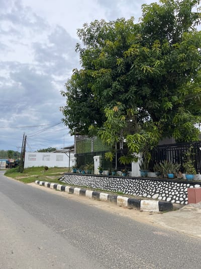 This is a low-angle, eye-level, outdoor shot of a street scene in Rantau Pauh, Indonesia, under a cloudy sky. A paved road occupies the foreground, curving to the left. Along the right side of the road is a sidewalk and a decorative low wall bordering a property. The wall is made of white stones with black circular outlines, topped with a black fence. A large, leafy tree with green foliage dominates the right side of the frame, casting shadows. In the background, to the left of the tree, is a white building with decorative openings and an electrical pole with many wires. To the left of the building, a few more structures and vegetation are visible. The scene appears quiet, with no people or vehicles present.