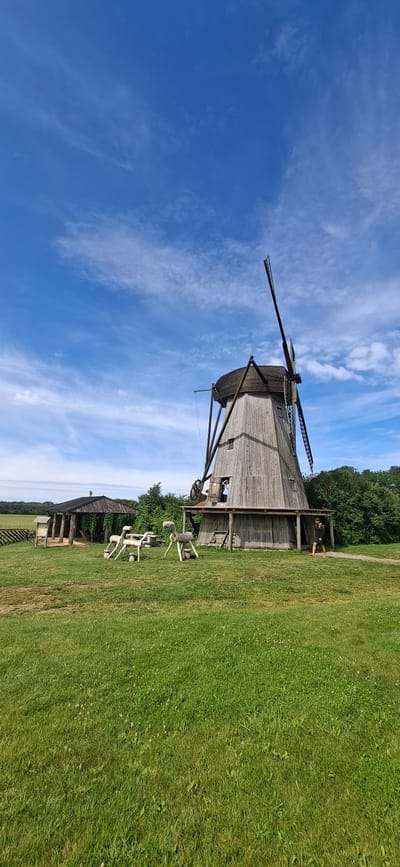 The image depicts the Angla Windmill Museum in Angla, Estonia, on a sunny day with a blue sky dotted with wispy clouds. The main subject is a large, wooden windmill with a conical roof and four sails, one of which is visible. The windmill is constructed of weathered wooden planks and stands on a grassy field. In front of the windmill, there are several carved wooden animal figures that appear to be decorative or part of an exhibit. To the left of the windmill, there is a covered outdoor structure, possibly a shelter or another part of the museum, with informational signage. A path leads away from the windmill. A person in dark shorts and a dark top walks away from the windmill on the path. Another person is partially visible in an opening on the windmill. The surrounding environment is a well-maintained grassy area with trees and vegetation in the background.