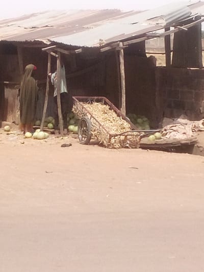 The image depicts a market stall located in Tudun Murtala, Nigeria. The scene is illuminated by ambient daylight, showing an unpaved light-brown dirt ground. A provisional structure with a weathered corrugated metal roof, supported by several rough wooden posts, serves as a vendor stall. The back wall of the stall is dark, with a section of exposed red brick visible on the right.
Two individuals are present near the stall's opening. On the left, a person, largely seen from the back, wears a dark olive-green full-length garment and a reddish head covering. Adjacent to them, another individual in a light-colored long-sleeved shirt stands, partially facing into the stall.
In front of and within the stall, numerous large, pale green spherical fruits, consistent with watermelons or gourds, are displayed. A two-wheeled metal pushcart, positioned centrally in the midground, is filled with dried, light-colored fibrous plant material resembling husked corn cobs. To the far right, two similar spherical fruits are placed on a low, dark platform. The individuals' actions are limited to standing within the environment of the produce display; no direct interactions are observable.