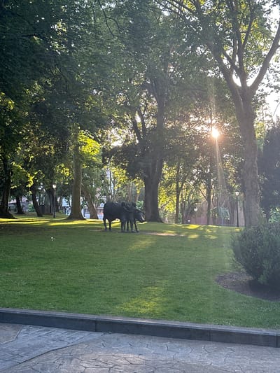 The image captures a sun-dappled park scene in Oviedo, Spain, likely the Campo de San Francisco due to the presence of a statue of a bull being led by two figures, a common motif in Asturian culture and found in this park. The sun shines through the leaves of mature trees, creating a warm glow and casting shadows on the manicured green lawn. In the foreground, a decorative paved walkway borders the grass. A dark bronze sculpture depicting two individuals guiding a bull stands centrally in the mid-ground. Several lampposts are visible throughout the park, and a park bench can be seen in the distance. Buildings are partially visible through the trees in the background. The overall atmosphere is tranquil and bathed in natural light.