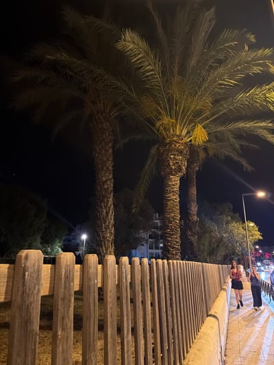 The image depicts a nighttime scene along a street in Ibiza, Spain. In the foreground, a rustic wooden fence runs along the edge of a sidewalk. The fence is made of vertical wooden posts. Behind the fence, several palm trees are prominent, their fronds illuminated by artificial light. The background reveals a building with illuminated windows and a street with cars and a street lamp. Two individuals, appearing to be women, are walking on the sidewalk in the mid-ground. One is wearing a dark top and a skirt, while the other is wearing a dark top and dark pants. The overall atmosphere is that of a warm evening in a Mediterranean city.