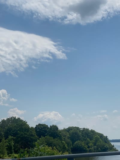 This image captures a scenic view of a tree-lined shoreline and a body of water under a partly cloudy sky. The foreground features a dark, horizontal railing. The middle ground is dominated by a dense growth of lush green trees that extend along the edge of the water. In the background, a calm body of water stretches towards the horizon, where a faint line of distant land can be seen. The sky above is a clear blue, interspersed with scattered white clouds, some of which are large and cumulus-like. The scene appears to be a natural landscape, likely a park or waterfront area. While no specific landmarks identifying the city of Grenville, Canada are visible, the natural elements suggest a location with access to water and significant vegetation.