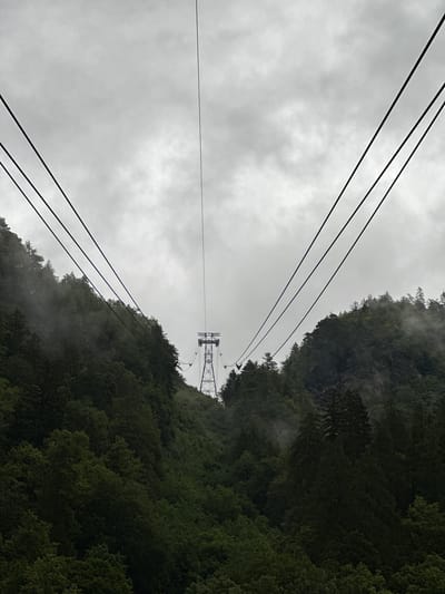 This image depicts a low-angle view of a cable car system ascending a densely forested mountain under a cloudy sky. The cable car's support towers are visible in the distance, one prominent tower with a lattice structure standing on the mountainside. Several thick cables extend from the foreground, converging towards the tower, suggesting the direction of travel. The mountains are covered in a thick canopy of dark green coniferous and deciduous trees. Patches of mist or fog are visible clinging to the trees on the slopes, particularly on the left side of the frame. The overall atmosphere is somber and natural. The location is identified as being in Hüsen, Switzerland.