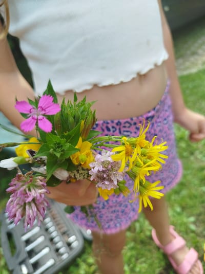 A close-up, medium shot captures a young child, likely a girl, holding a bouquet of wildflowers. She is wearing a white, ruffled crop top and a pink and blue patterned skirt. Her hands are gently cradling the colorful assortment of blooms, which includes pink, yellow, and purple flowers, along with green leaves and buds. In the lower left quadrant, a portion of a grey toolbox, filled with tools, is visible. The background consists of blurred green grass and foliage, suggesting an outdoor setting. The child's bare legs and pink sandals are also visible, indicating warm weather. The image appears to be taken at eye level. The overall lighting is natural and appears to be daylight. The location of Topolina, Poland, is not discernible from the visual information provided in the image.