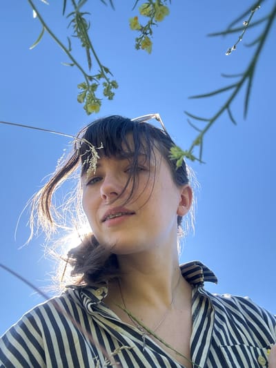 A low-angle, medium shot captures a young woman outdoors against a bright blue sky, with thin branches and small yellow flowers in the foreground, framing her face. She is looking directly at the camera with a slight smile and visible braces. Her dark hair is windswept, with some strands falling across her face, and a piece of dried grass is tucked into her bangs. She is wearing a dark and light striped button-up shirt, and a thin silver necklace. The sun is behind her, creating a backlight effect that highlights her hair and shoulders. The image appears to have been taken in a natural setting.
