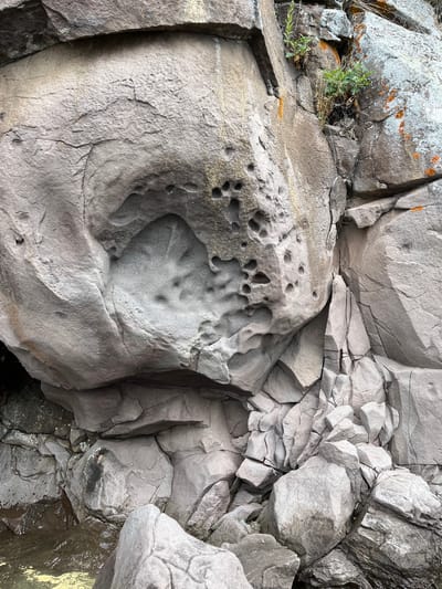 A close-up, eye-level shot captures a section of a rocky cliff face, likely composed of weathered volcanic rock given its pitted texture and numerous cavities. The rock exhibits various shades of gray, with some areas tinged with yellow and orange from lichen or mineral deposits. The surface is heavily textured, with deep fissures, rounded indentations, and a large, almost cavernous depression on the left side of the frame. This depression has a distinct, hand-like imprint or pattern within it, formed by smaller, circular pits. Scattered across the rock are many smaller, circular holes, indicative of natural erosion or perhaps fossilized burrows. Small green plants and dried grasses sprout from crevices near the top right of the image, suggesting a natural, outdoor environment. The base of the cliff appears to lead down to a body of water, with some wet, submerged rocks visible at the bottom edge of the frame. The scene is devoid of any human presence or activity. The overall impression is one of natural geological formations, showcasing the erosive power of time and elements. Based on external information, this geological formation is located on the coast of the Sea of Japan in Sovetskaya Gavan', Russia.