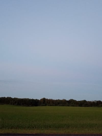 The image depicts an outdoor scene at dusk. A vast, pale blue sky occupies the upper portion of the frame. Below the sky, a dark, dense line of trees stretches across the horizon. In the foreground, a broad, green field extends from the tree line to the bottom of the image. A dark, narrow strip, possibly a road or path, runs along the very bottom edge of the field. The scene appears to be located in a rural or semi-rural area, consistent with the environment of Палыкавіцкі сельскі Савет, Belarus. There are no people or discernible actions captured in the photograph.