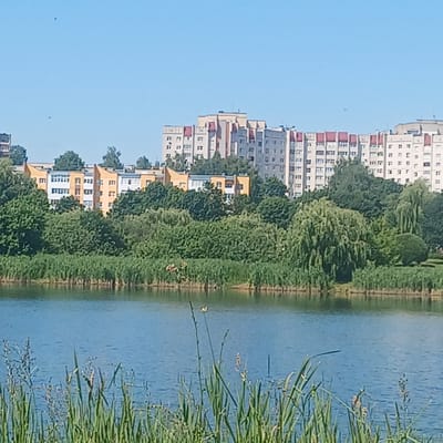 A wide shot captures a serene waterfront scene in Baranavichy, Belarus, under a clear blue sky. In the foreground, tall green reeds and grasses line the edge of a calm, blue body of water, with some lighter green vegetation closer to the shore.
Across the water, a dense line of lush green trees forms a natural barrier, obscuring the lower portions of the buildings behind them. Above the trees, a row of apartment buildings stands out. The buildings are a mix of light beige and white, with some sections featuring distinctive red-tiled roofs. The apartment blocks are multi-story, with visible windows and balconies, suggesting a residential area. The architecture appears typical of Soviet-era urban planning.
The sky is a consistent, pale blue, devoid of clouds, indicating fair weather. There are a couple of small, dark specks in the sky, which could be birds or distant aircraft. The overall impression is one of a peaceful, developed urban landscape integrated with natural elements.