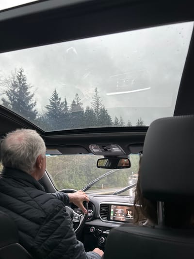 Inside a car, an older man with white hair grips the steering wheel. Rain streaks across the panoramic sunroof, revealing overcast skies and a line of trees. The dashboard displays navigation and music. A rearview mirror is visible above the center console. The man wears a dark quilted jacket.