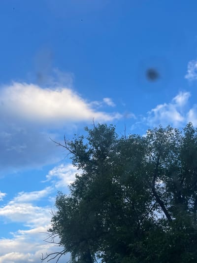The image captures a partially obscured view of a tree's foliage against a bright blue sky with scattered white clouds. There are two dark, indistinct circular shapes in the sky, one appearing more prominent than the other. The foliage is dense and dark green, obscuring a significant portion of the sky. The branches of the tree are visible, some bare and others with leaves. The scene appears to be outdoors, possibly in a park or natural area within Mineralnye Vody, Russia, given the context. There are no people or specific objects identifiable within the frame that would indicate a particular urban setting or activity.