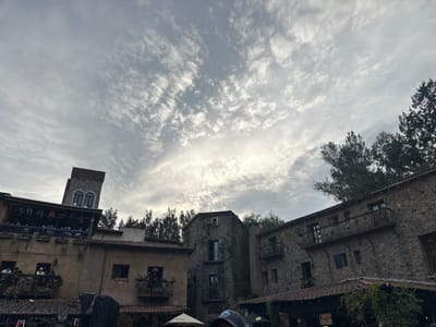 A low-angle shot showcases weathered stone buildings under a cloudy, overcast sky. Trees punctuate the skyline, intermingling with the buildings. Some structures feature balconies, and a tower rises above the scene. The lighting is muted, emphasizing the aged textures of the architecture. The composition emphasizes the built environment's integration with the natural elements.