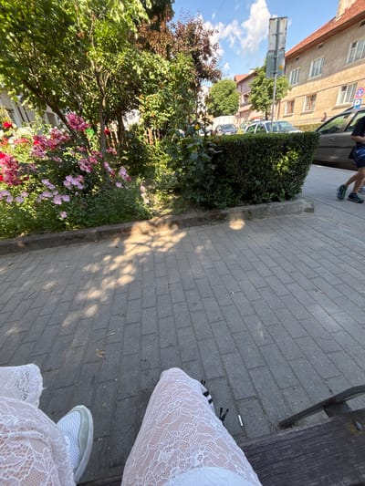 The image, taken in Gotse Delchev, Bulgaria, depicts a sunny outdoor scene from a low, slightly angled perspective, as if from someone seated on a bench. In the foreground, the lower legs and feet of a person are visible, adorned in a white, intricate lace garment and light-colored sneakers. A section of a dark wooden bench is also partially visible, and a discarded cigarette butt lies on the grey brick sidewalk.
The sidewalk, made of rectangular pavers, extends into the midground, bordered by a neat green hedge and a vibrant flower bed filled with pink and red blossoms. Strong sunlight casts clear, dappled shadows from overhead foliage onto the pavement.
Beyond the sidewalk and greenery, a street is visible, populated by parked vehicles including a dark sedan and a white car. A circular red traffic sign with a diagonal line (indicating a prohibition, likely no parking or stopping) is visible on the dark sedan's window. Buildings line the street, including a multi-story structure with a light-colored facade and windows, and another with a red tile roof. Abundant trees and bushes contribute to the verdant setting. In the upper left of the frame, the legs and feet of another person, wearing dark sneakers with blue accents, are visible walking on the sidewalk. The bright conditions and visible white clouds suggest a clear, sunny day.