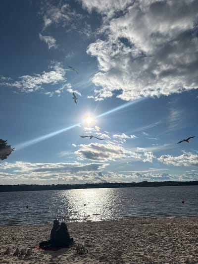 The image shows a beach scene with a body of water and a sandy shore. Several seagulls are flying in the bright blue sky, which is dotted with fluffy white clouds. The sun is shining, creating a lens flare effect and reflecting off the water's surface. On the sandy shore, a person is sitting with their back to the camera, appearing to relax. A red ball is visible in the water. The scene suggests a sunny day at the beach, likely during the daytime, given the bright sunlight and clear sky. The presence of seagulls and a beach setting hints at a coastal or lakeside location. The overall mood is peaceful and serene. There is no visible text in the image.