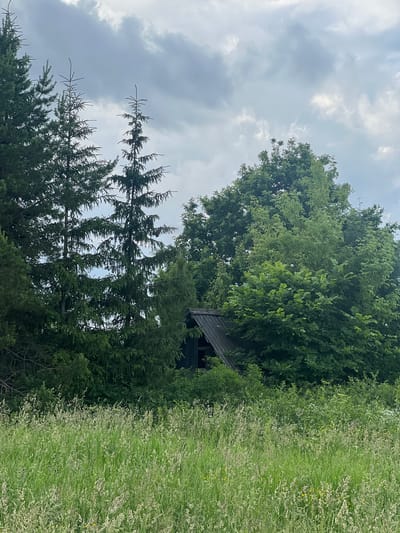 The image depicts a natural scene with a small wooden structure nestled amongst lush greenery. Tall evergreen trees, possibly pine or fir, dominate the left side of the frame, their branches reaching towards a cloudy sky. A denser growth of deciduous trees with vibrant green foliage forms a backdrop behind the evergreens, partially obscuring the small wooden building. The structure appears to have a dark, weathered roof and dark siding, suggesting it might be a shed or a small hut. To the right of the trees, a field of tall, wispy grass stretches out, dotted with small white and yellow wildflowers, indicating a late spring or summer setting. The sky is overcast with a mix of light and dark grey clouds, hinting at possibly unstable weather. The overall impression is one of a secluded, rural location, likely in a wooded area. There is no visible text or activity taking place, creating a sense of stillness and tranquility. The natural lighting suggests it is daytime. Given the location context of Krasnoyarsk, Russia, the scene evokes a feeling of the Siberian wilderness.