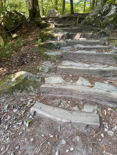 The image shows a weathered wooden staircase ascending a rocky, wooded incline in Verzasca, Switzerland. The steps are constructed from rough-hewn logs and are interspersed with natural stones and earth. Lush green foliage and moss cover large rocks on either side of the path, and fallen leaves litter the ground. Sunlight filters through the dense canopy of trees, casting dappled shadows on the scene. The environment suggests a natural, outdoor setting, likely a hiking trail within a forested area. There are no people or animals visible in the image.