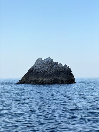 A rock formation protrudes from the tranquil blue waters of the sea, with a clear, pale blue sky above. A faint bird, appearing as a tiny black speck, is visible in the upper left quadrant of the sky. The rock is rugged and irregular in shape, with sharp, jagged edges, and appears to be a dark grey color. The water surrounding the rock is calm, with subtle ripples creating a textured surface. The horizon line is indistinct, blending the sky and the sea into a soft, hazy gradient. The scene is serene and devoid of any human presence, suggesting a natural, untouched environment. The location is identified as Prijevorac, Montenegro.