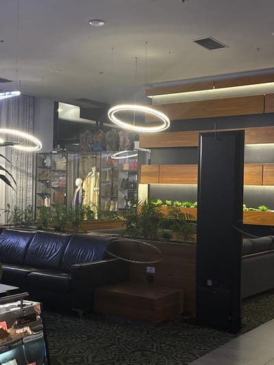 The image depicts an interior scene, likely a modern retail or lounge area. In the foreground, a dark leather couch is visible, with a patterned carpet beneath it. To the left, a reflective surface, possibly a display case or counter, shows reflections of items. In the background, shelves are filled with various merchandise, including bags and clothing displayed on mannequins. Overhead, modern ring-shaped pendant lights illuminate the space. The wall behind the merchandise features a decorative design with wooden elements and integrated lighting. A tall, dark, rectangular structure stands prominently on the right side of the image, possibly a partition or display unit. Potted plants are placed on ledges and in planters, adding a touch of greenery to the environment. The overall impression is one of a clean, well-lit, and contemporary commercial space. The city of Ilidža, Bosnia and Herzegovina is not identifiable from the visual elements within the image.