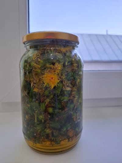 A glass jar filled with dandelions is placed on a white surface, possibly a windowsill, next to a window. The window is visible in the background, showing a soft, diffused light. The jar has a golden-colored lid. The dandelions inside consist of green stems and buds, along with a few yellow flowers. The location is Амзя, Russia.