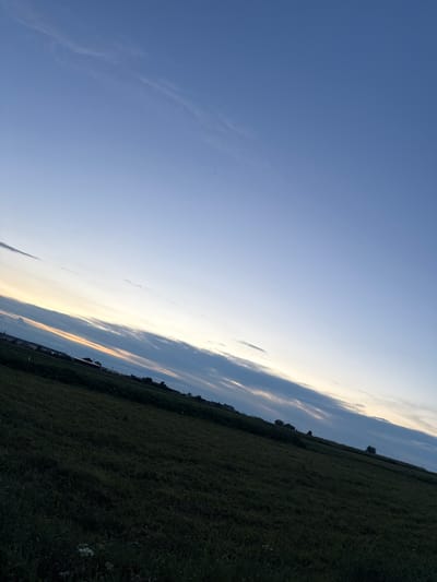 The image depicts a low-angle view of a grassy field under a twilight sky. The sky transitions from a pale blue at the top to a more muted tone near the horizon, with streaks of clouds. A band of lighter color, likely sunlight reflecting off clouds, is visible on the horizon line. In the distance, silhouetted against the sky, are some trees and the outlines of buildings, suggesting a rural or semi-rural setting. The foreground is dominated by a dark, green field, likely grass or low crops, with some lighter patches of wildflowers visible towards the bottom left. The overall impression is of a peaceful evening in the countryside.