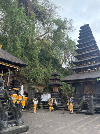 In the city of Dawan, Indonesia, an outdoor scene unfolds at a temple complex. The architecture features tiered, dark stone structures with thatched roofs, intricately decorated with gold accents. A prominent multi-tiered pagoda-like building dominates the right side of the frame, with a smaller, similar structure to its left. In the background, a lush, verdant hillside is covered in dense foliage and trees, partially obscuring the sky.
Several individuals are present in the courtyard. On the left, a woman in traditional Balinese attire, a cream-colored top and a yellow sarong, stands with her back to the camera, holding a phone and appearing to take a photo. In the center, two figures in similar yellow and cream traditional clothing are interacting, one appearing to be seated. To the right, a person in a dark shirt and a yellow sarong is observed. A small, light brown cat is in the foreground, walking away from the camera. The ground is paved with grey interlocking stones, and stone carvings of mythological creatures line a stairway on the left. Several offerings wrapped in yellow fabric are visible on pedestals. A sign with red text is partially visible at the base of the stairs on the left. The overall atmosphere suggests a cultural or religious site.