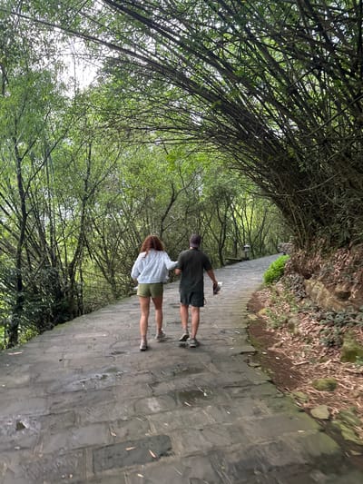 Two people, a woman and a man, are walking away from the camera on a stone pathway lined by dense bamboo and other greenery. The woman is on the left, wearing a light-colored jacket and olive-green shorts. The man is on the right, wearing a dark t-shirt and dark shorts, and he is holding a folded piece of paper or pamphlet. The pathway is wet, suggesting recent rain. The scene appears to be a park or garden path within the city of Tây Hoa Lư Ward, Vietnam, characterized by lush vegetation and a natural, somewhat overgrown environment. The path curves to the right, leading further into the bamboo grove.