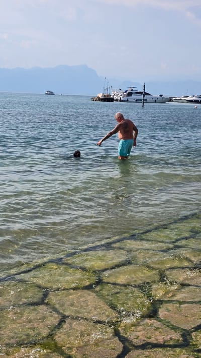 A man and a dog are in the water at the edge of Lake Garda. The man, who appears to be middle-aged and has tattoos on his back, is wearing blue swim trunks. He is standing in the water, which comes up to his knees, and is pointing at the dog. The dog, which is dark-colored, is partially submerged in the water, with only its head visible. The lake is calm, and in the background, there are mountains and several boats docked at a pier. The foreground shows a stone pathway that is partially submerged in the water, with green algae growing on the stones. The sky is clear and blue.