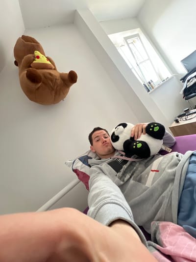 The image, oriented sideways, appears to be a selfie taken in what seems to be an indoor environment. The subject is holding a panda plush toy in front of themself. A brown bear plush toy with a slice of pizza is mounted on the wall in the lower left corner of the frame. A window is visible in the upper left corner. The setting is possibly in Benningen, Germany, though specific city context is not discernable within the image itself. The individual is wearing a grey hoodie. Other details in the background are obscured or out of focus.