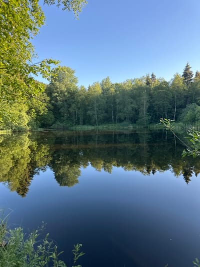 This is a vertical, medium shot of a serene lake reflecting a lush, green forest and a clear blue sky. The foreground of the water is dark and calm, with reflections of trees and the sky. On the left side of the image, reeds and green plants grow along the bank, reaching into the water. The middle ground features the lake, with its surface mirroring the trees that line its shore. These trees are a mix of deciduous and coniferous varieties, creating a dense green backdrop. The trees are tall and healthy, with abundant foliage illuminated by sunlight, suggesting a warm day. The sky above is a vibrant, cloudless blue, providing a stark contrast to the greenery. The overall impression is one of peacefulness and natural beauty. The specific location in Le Brassus, Switzerland, is not evident from the image itself.