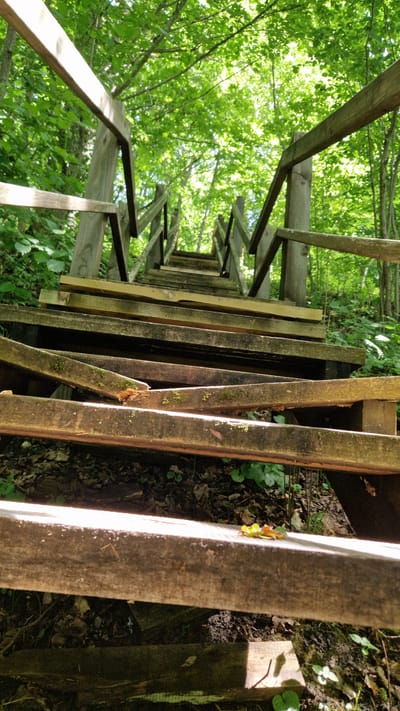 This image captures a weathered wooden staircase ascending through a lush green forest. The perspective is from the bottom of the stairs, looking upwards. The wooden planks of the stairs show signs of age and wear, with some appearing broken or splintered, and patches of moss clinging to their surfaces. The railings on either side are also made of wood and are weathered. The surrounding environment is dense with green foliage, suggesting a natural setting, possibly within the municipality of Embūte, Latvia, given the context of the prompt. Sunlight filters through the leaves, creating dappled light on the stairs. There are no people visible in the image. The scene appears to be a path or trail within a wooded area, likely in a rural or natural park setting.