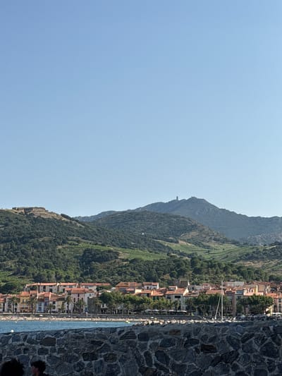 This image depicts a scenic view of the city of Collioure, France, with a focus on its waterfront and surrounding hills. In the foreground, a rough stone wall made of dark grey and black stones separates the viewer from the scene. Beyond the wall, a calm, blue body of water, likely the Mediterranean Sea, stretches across the frame.

On the opposite side of the water, the vibrant city of Collioure unfolds. A row of buildings with colorful facades, predominantly in shades of orange, yellow, pink, and white, lines the waterfront. Many of these buildings have distinctive red-tiled roofs. Palm trees and other greenery are interspersed among the buildings, suggesting a Mediterranean climate. A beach area is visible in front of the buildings, with numerous small umbrellas and people lounging and walking. Several sailboats, their white masts tall against the colorful architecture, are anchored in the water.

The background is dominated by lush green hills, characteristic of the Pyrenees-Orientales region. The hills are covered with dense vegetation, appearing as a vibrant carpet of green, with some areas showing terraced vineyards. On the crest of one of the hills on the left, there appears to be an old stone structure, possibly a fort or ruin, overlooking the landscape. Further in the distance, a higher peak rises, with a distinct tower or structure on its summit. The sky above is a clear, pale blue, with no clouds visible. The overall impression is one of a sunny, tranquil coastal town nestled within a dramatic natural landscape.